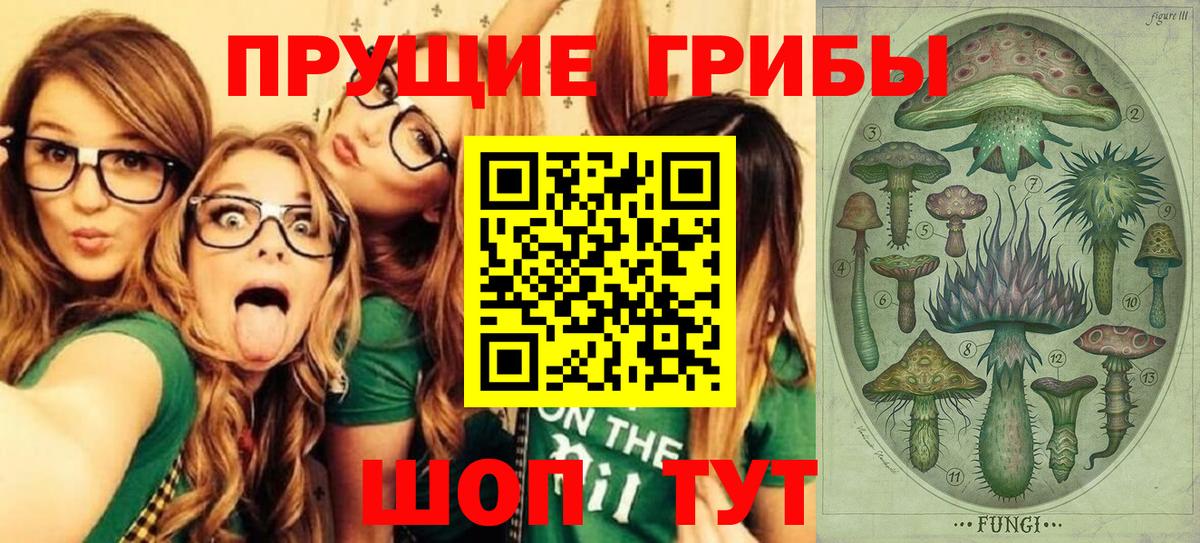 Псилоцибиновые грибы Magic Shrooms  Вход с VPN  Тосно 